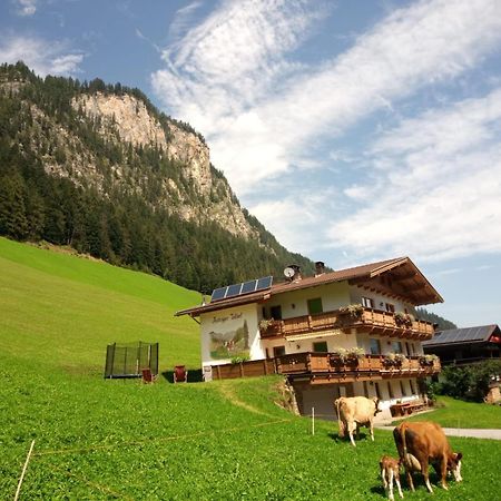 Apartamento Astegger Talhof Finkenberg Exterior foto